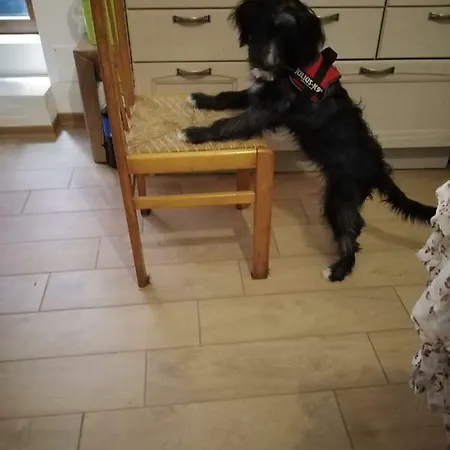 A Casa Di Mely Nocleg ze śniadaniem